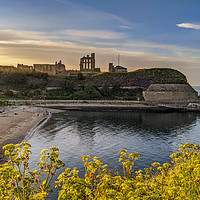 Buy canvas prints of Tynemouth Priory and Castle at dusk by Aimie Burley