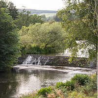 Buy canvas prints of River Aln, Northumberland by Aimie Burley