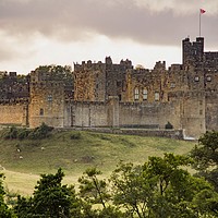 Buy canvas prints of Alnwick Castle by Aimie Burley
