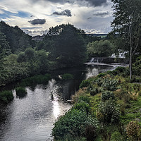 Buy canvas prints of River Aln, Alnwick by Aimie Burley