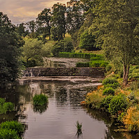 Buy canvas prints of River Aln by Aimie Burley