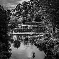 Buy canvas prints of River Aln in Black & White by Aimie Burley