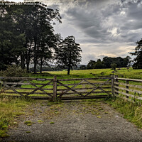 Buy canvas prints of Percy Farm, Northumberland  by Aimie Burley