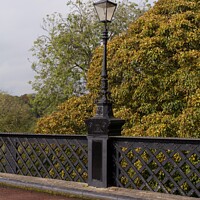 Buy canvas prints of Lamppost in Autumn  by Aimie Burley