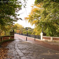 Buy canvas prints of Jesmond by Aimie Burley