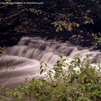 Buy canvas prints of Jesmond Dene Waterfalls  by Aimie Burley