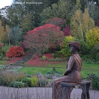 Buy canvas prints of Autumn in Carlisle Park, Morpeth  by Aimie Burley