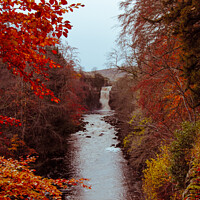 Buy canvas prints of High Force Waterfall in Autumn  by Aimie Burley