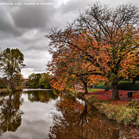Buy canvas prints of Autumn in Morpeth  by Aimie Burley