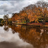 Buy canvas prints of River wansbeck, Morpeth   by Aimie Burley