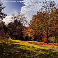 Buy canvas prints of Autumn in North Tyneside  by Aimie Burley