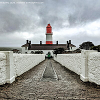 Buy canvas prints of Souter Lighthouse   by Aimie Burley