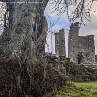 Buy canvas prints of Tree and Castle   by Aimie Burley