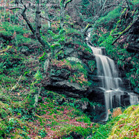 Buy canvas prints of Northumberland waterfall by Aimie Burley