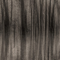 Buy canvas prints of Flood -Black and white by Aimie Burley