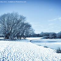 Buy canvas prints of Frosty landscape by Aimie Burley