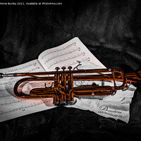 Buy canvas prints of Red trumpet  by Aimie Burley