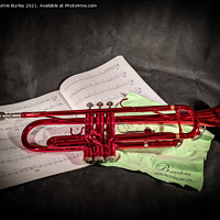 Buy canvas prints of The Red trumpet  by Aimie Burley
