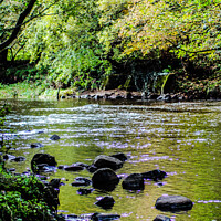Buy canvas prints of Autumn river by Liam Thompson