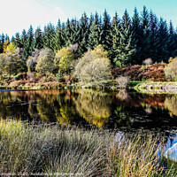 Buy canvas prints of Autumn reflections by Liam Thompson