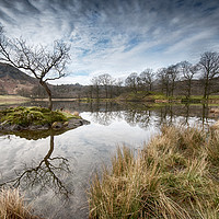 Buy canvas prints of Tree reflections on Rydal Water by Ann Goodall