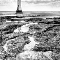Buy canvas prints of New Brighton Lighthouse by Ann Goodall