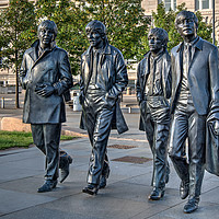 Buy canvas prints of "The Fab Four" by Ann Goodall