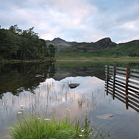 Buy canvas prints of Blea Tarn's Langdale reflections #1 by Ann Goodall
