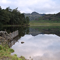 Buy canvas prints of Blea Tarn's Langdale reflections #2 by Ann Goodall