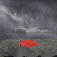 Buy canvas prints of A red Umbrella surrounded by black umbrellas by conceptual images