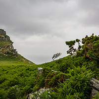 Buy canvas prints of Valley of the Rocks I by Kate Fish