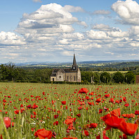 Buy canvas prints of Poppy Field by Chris Brookes