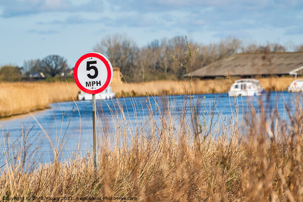 No Speeding on the River Thurne Picture Board by Chris Yaxley