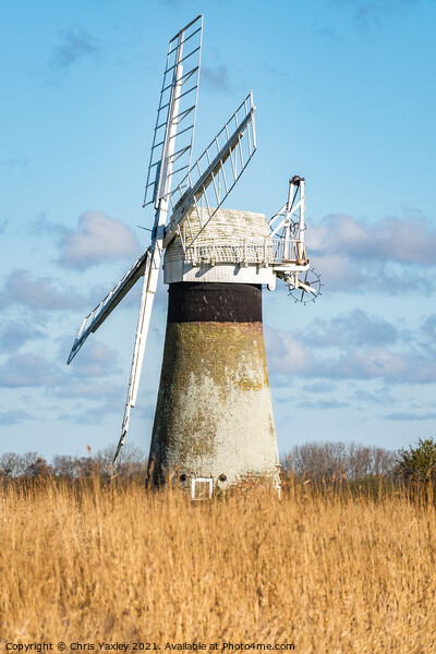 St Benets Drainage Mill, Thurne, Norfolk Picture Board by Chris Yaxley