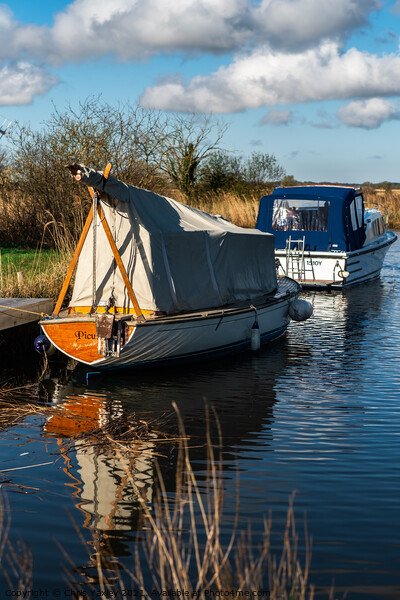 River Thurne, Norfolk Broads Picture Board by Chris Yaxley