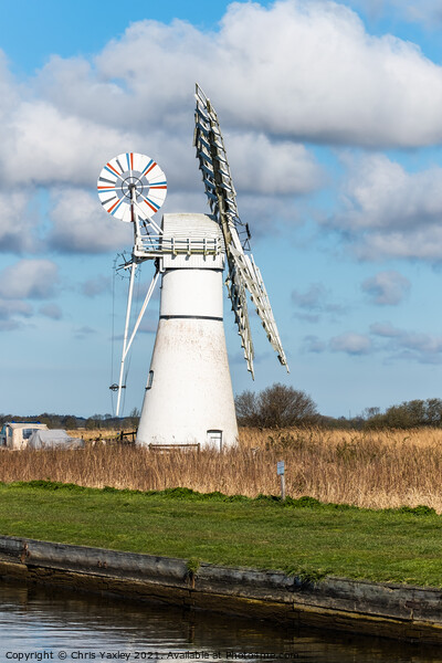 Thurne Mill, Norfolk Picture Board by Chris Yaxley