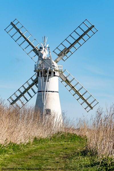 Thurne Mill, Norfolk Broads Picture Board by Chris Yaxley