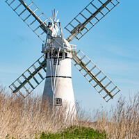 Buy canvas prints of Thurne Mill, Norfolk Broads by Chris Yaxley