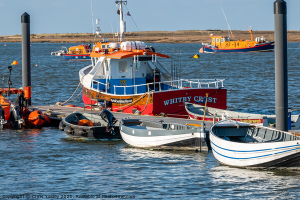 Wells-Next-The-Sea estuary on the North Norfolk coast Picture Board by Chris Yaxley