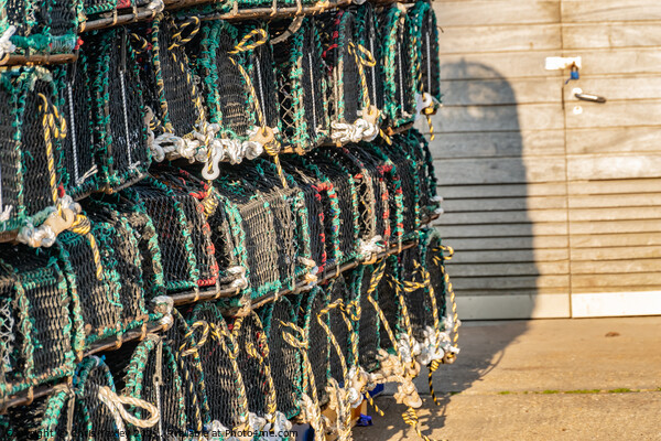 Crab pots and lobster traps on Well-Next-The-Sea quay Picture Board by Chris Yaxley