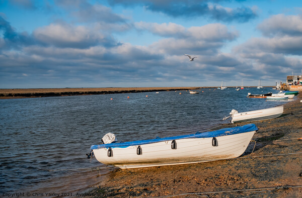 Wells-Next-The-Sea estuary, North Norfolk Picture Board by Chris Yaxley