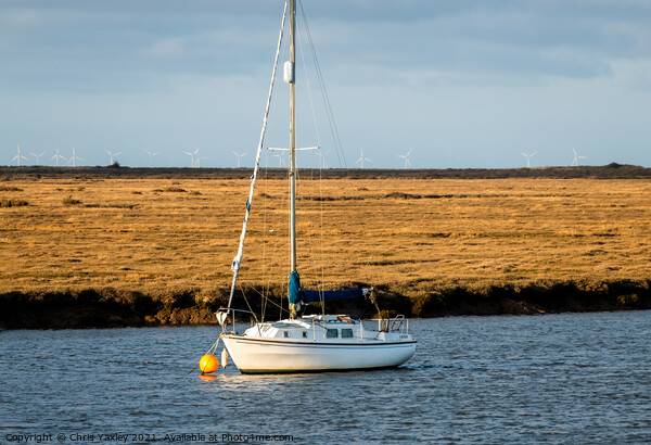 Sunny evening moored in Wells-Next-The-Sea, North Norfolk coast Picture Board by Chris Yaxley