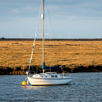 Buy canvas prints of Sunny evening moored in Wells-Next-The-Sea, North Norfolk coast by Chris Yaxley