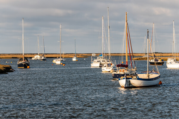 Sailing boats moored up in Wells-Next-The-Sea, North Norfolk Picture Board by Chris Yaxley