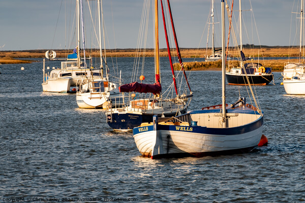 Sunny evening in Wells-Next-The-Sea, North Norfolk coast Picture Board by Chris Yaxley
