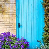 Buy canvas prints of Blue door surrounded by flowers on the bank of the River Wensum, Norwich by Chris Yaxley