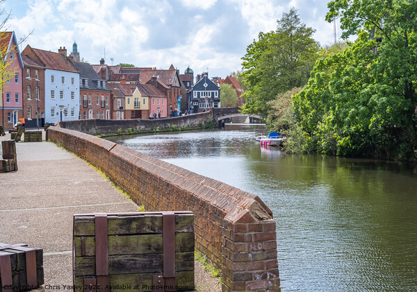 Norwich, Norfolk, UK – May 11 2021. The historic Quayside along the River Wensum in the city of Norwich, Norfolk. The traditional properties along this pedestrianised road have stunning interrupted views across the River Wensum all the way to Fye Bridge Picture Board by Chris Yaxley