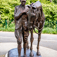 Buy canvas prints of Soldier and war horse statue in Romsey Memorial Pak, Hampshire by Chris Yaxley