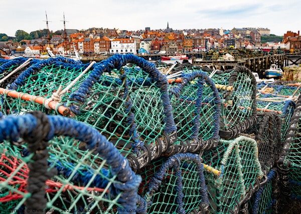 Crab pots and lobster traps in Whitby Harbour, North Yorkshire Picture Board by Chris Yaxley