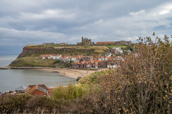 A view over Whitby Bay, North Yorkshire Picture Board by Chris Yaxley